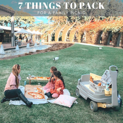 7 THINGS TO PACK FOR A FAMILY PICNIC
