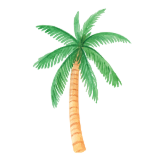 Palm Tree